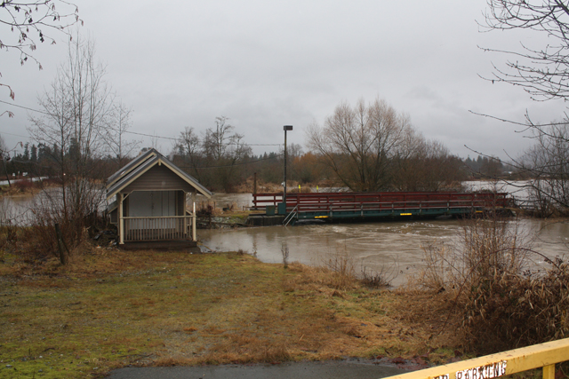 Salmon River fish trap (on Glover), Jan. 11, 2014